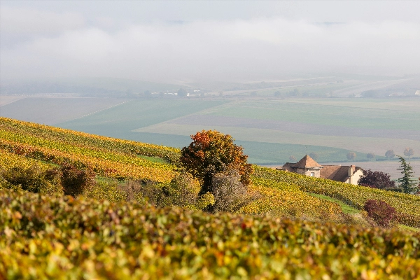 French countryside